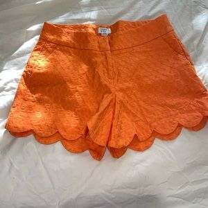 Crown and Ivy High Waisted Scallop Shorts